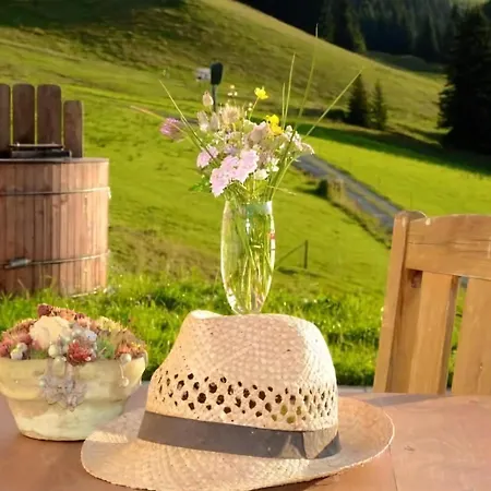 Wallegg In Hinterglemm Holiday home Saalbach-Hinterglemm